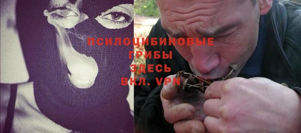 хмурый Ельня