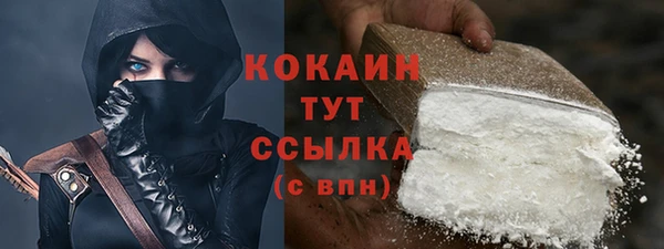 дживик Елизово