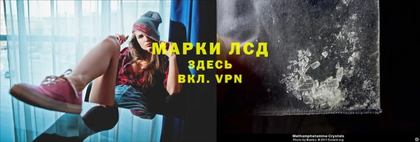 сатива Зеленодольск