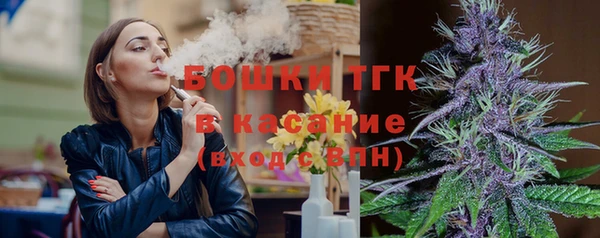 крисы Зеленокумск