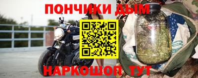 прущие грибы Гатчина