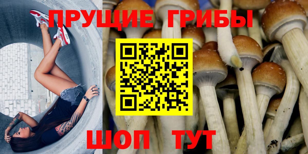 наркошоп  Новочебоксарск  Галлюциногенные грибы прущие грибы 