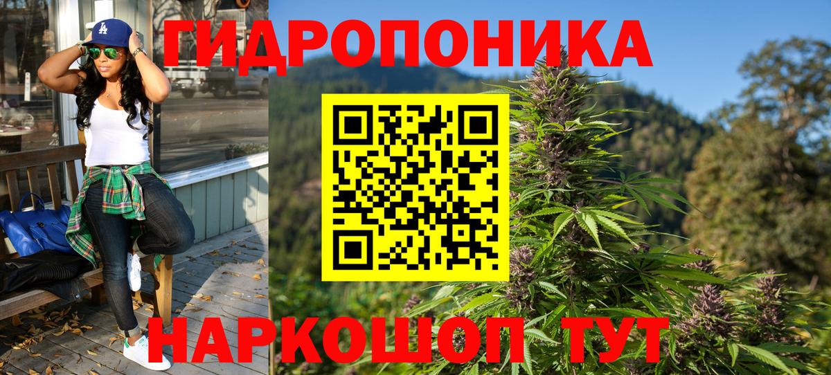 Шишки марихуана семена  Новочебоксарск  Канабис SATIVA & INDICA 